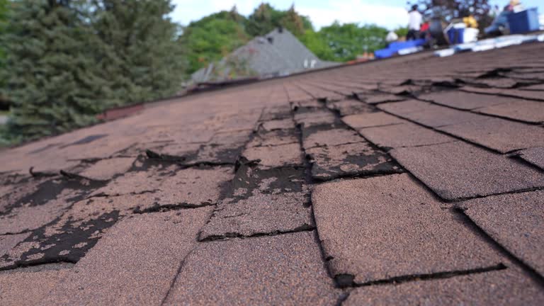 Steel Roofing in Cedarville, OH
