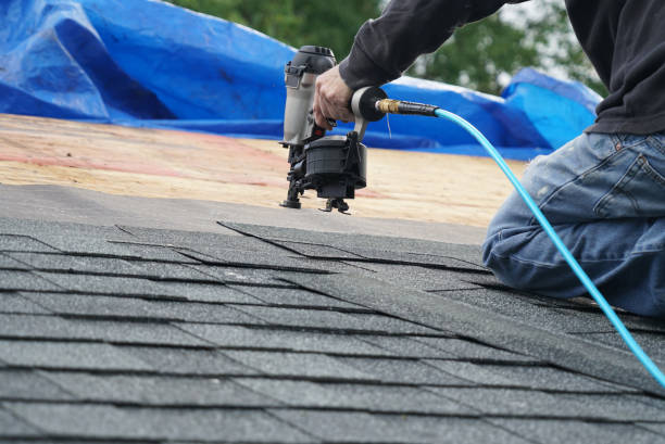 Best Roof Insulation Installation  in Cedarville, OH